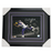 Adam Thielen,#5, Spotlight Catch Signed & Professionally Framed 11x14 Photo